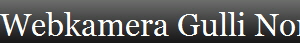 Webkamera Gulli Norfilm